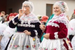 Vracovské hody 2026