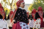 Vracovské hody 2026