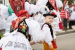 Vracovské hody 2026