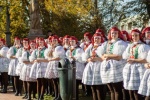 Vracovské hody 2026