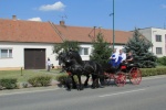 Dožínky