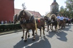 Dožínky