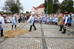 Dožínky 2025
