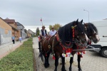 Dožínky 2025