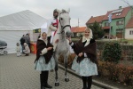 Svatomartinské slavnosti 2016