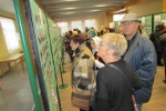 Svatomartinské slavnosti 2016