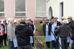 Svatomartinské slavnosti 2019