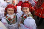 Vracovské hody 2025